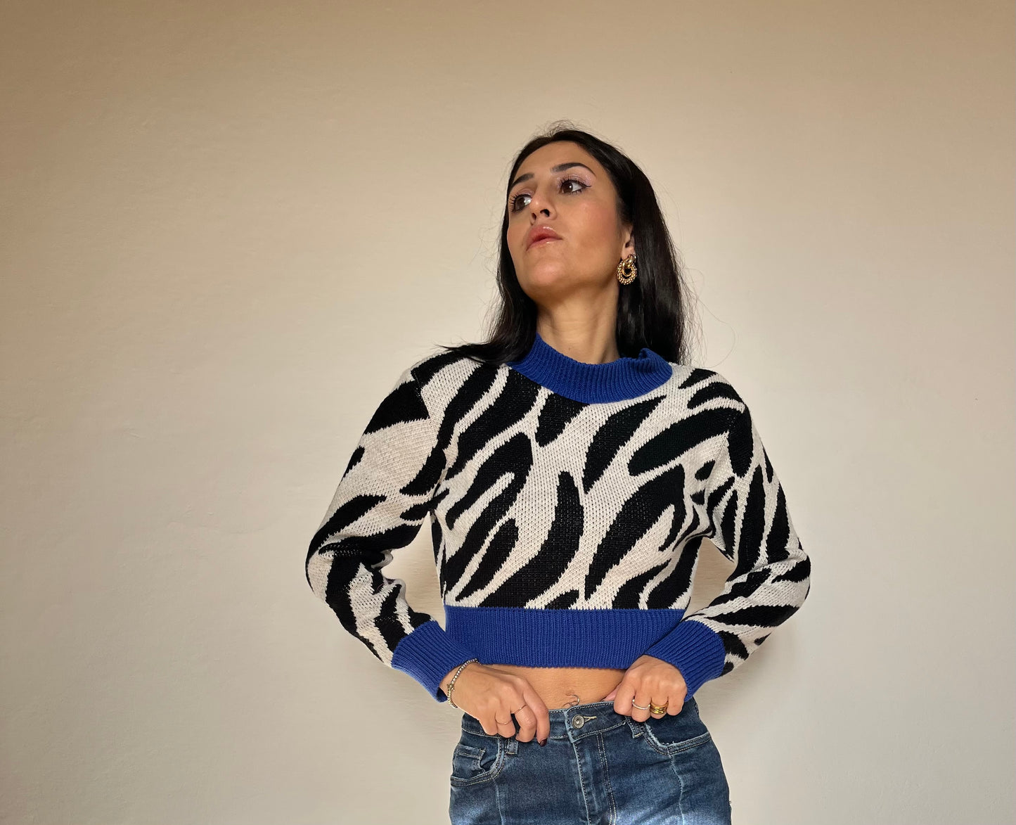 Pullover zebrato